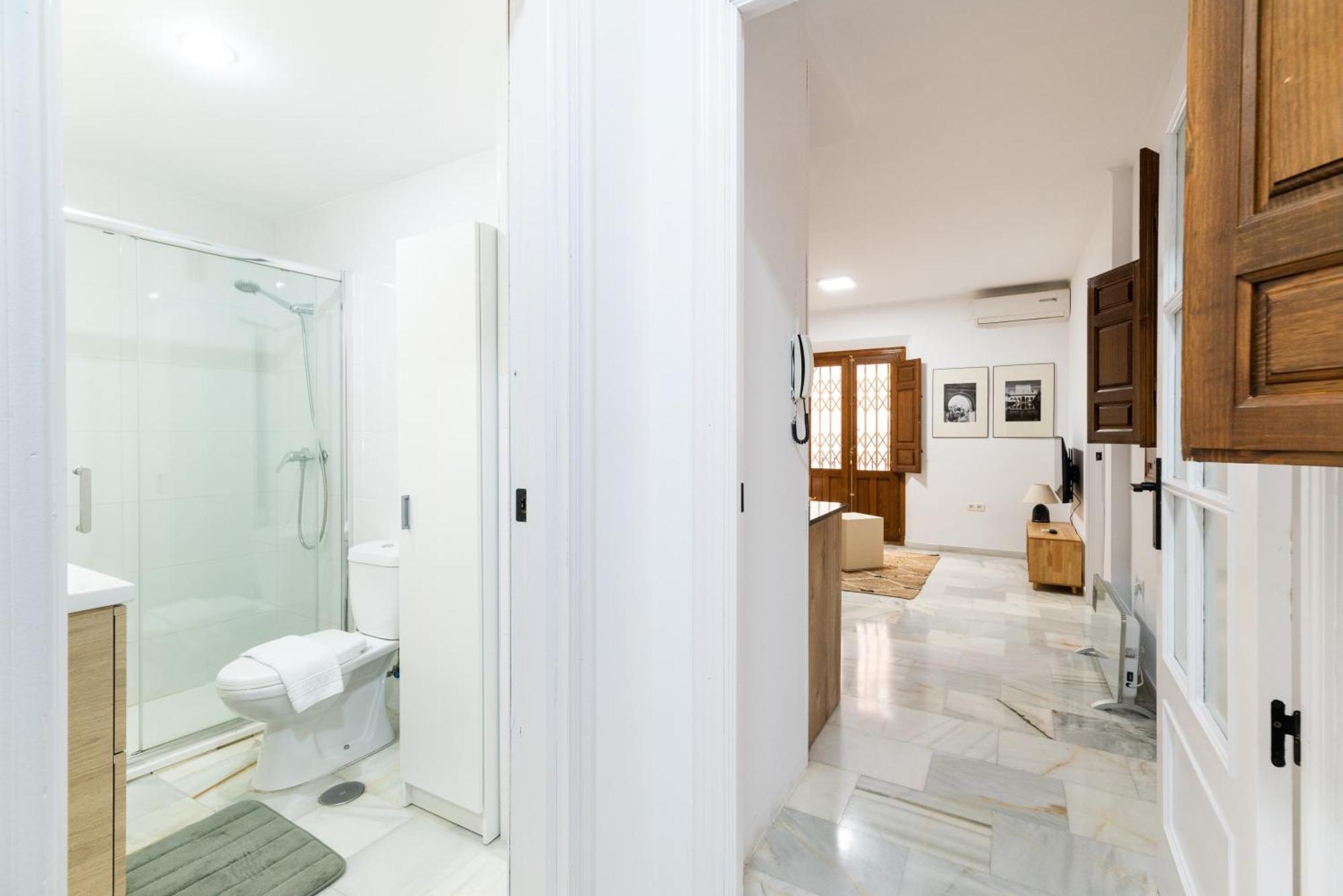 Centrico Reformado Appartement